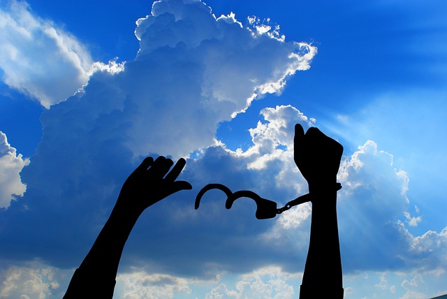 ハマっこニュース〜横浜市でお得に楽しむ〜