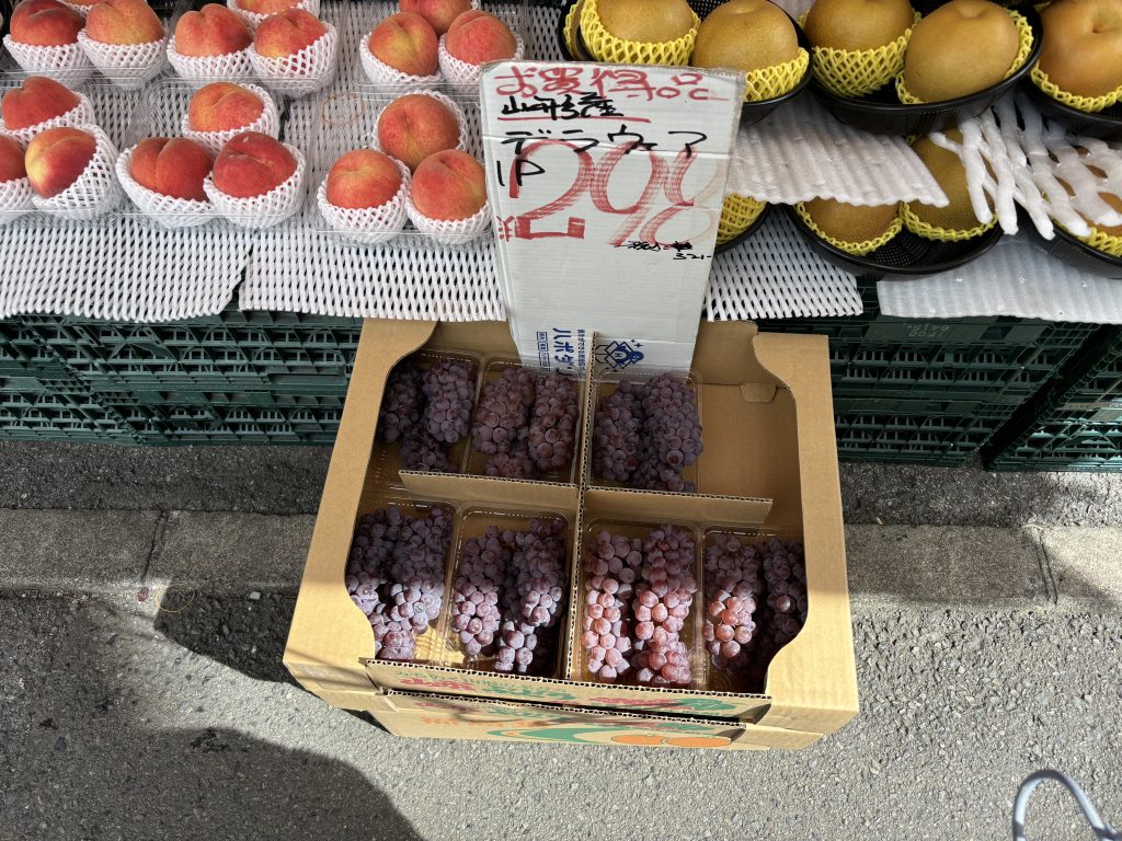 吉津屋　デラウェア